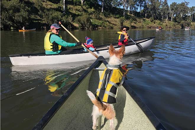 paddling upper brisbane river