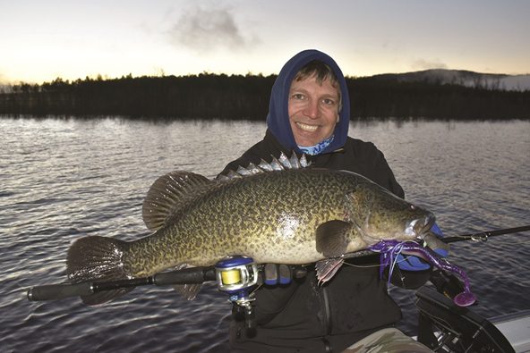 copeton cod