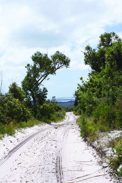 4wding stradbroke island