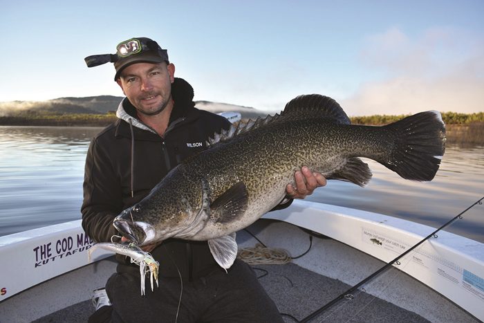 copeton cod