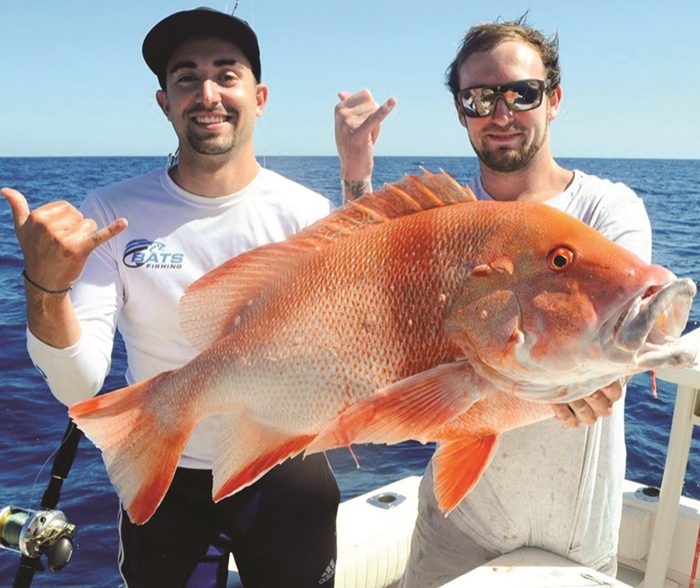 red fish mullet