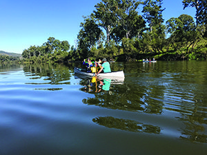 new paddlers twin bridges