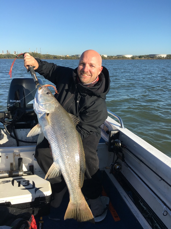 mangrove jack jewfish brisbane