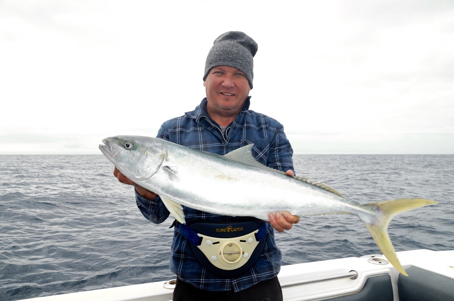 fishing offshore kingfish