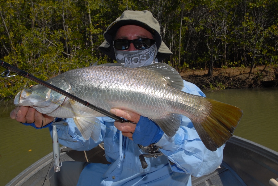 weipa fishing barra