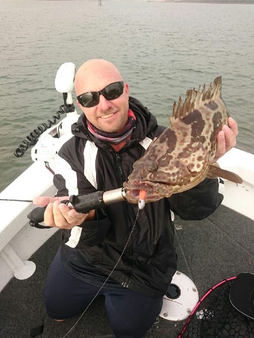 mangrove jack estuary cod brisbane