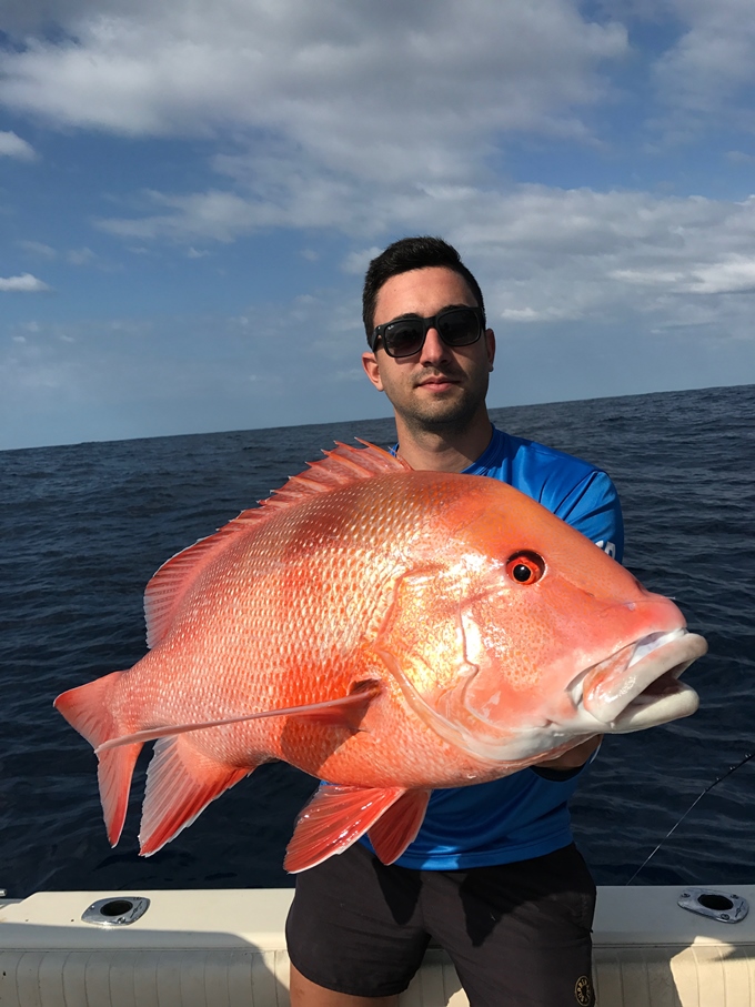 bunker group reefs red emperor