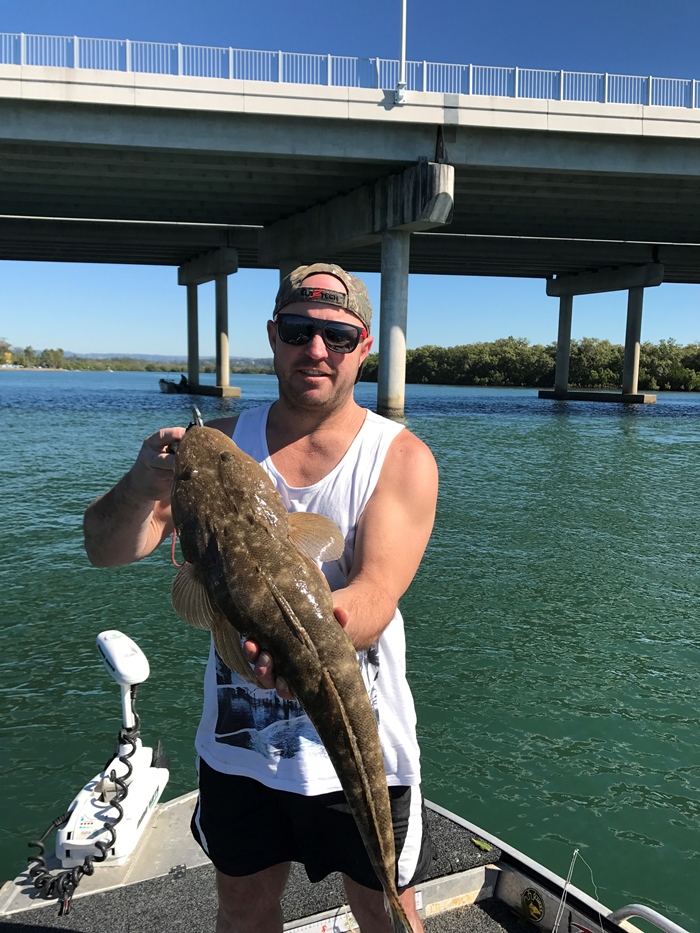 flathead brisbane