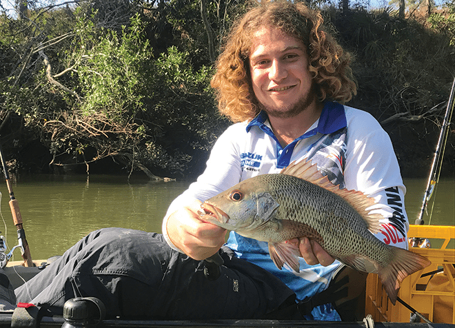 catching mangrove jack from a kayak