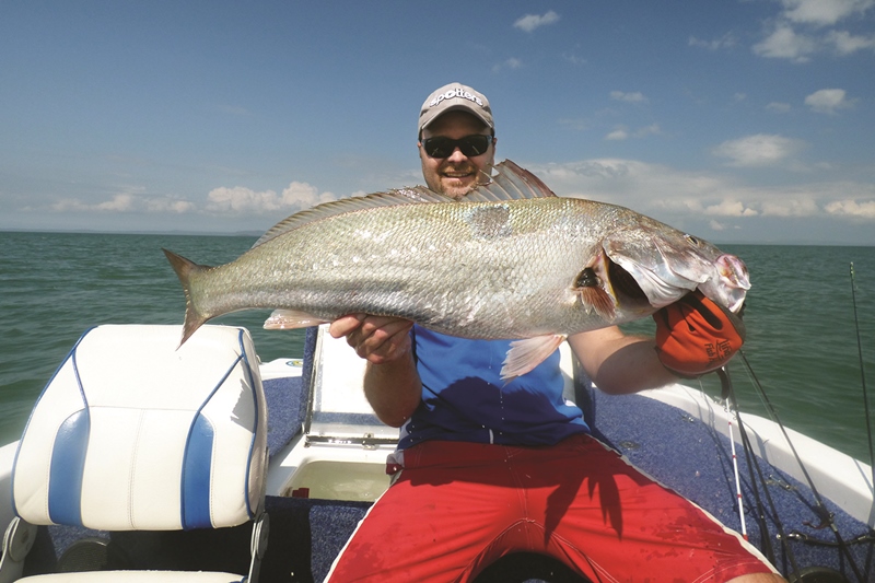 target jewfish moreton bay