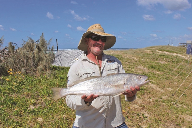 fraser island fishing tailor run