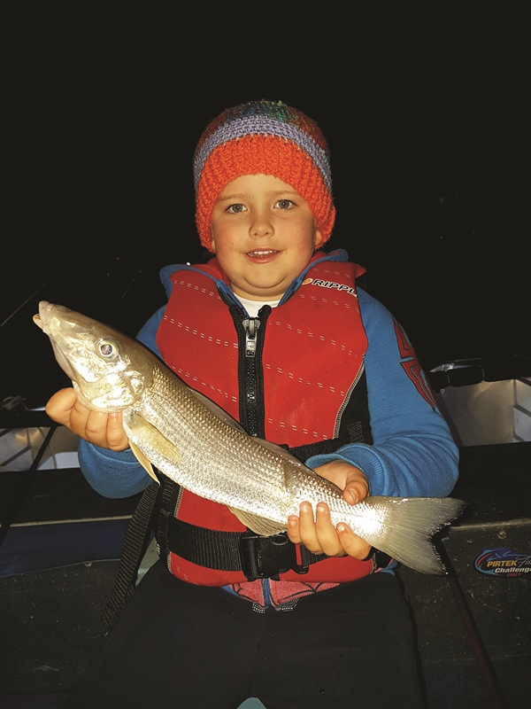 gold coast snapper and gold coast whiting