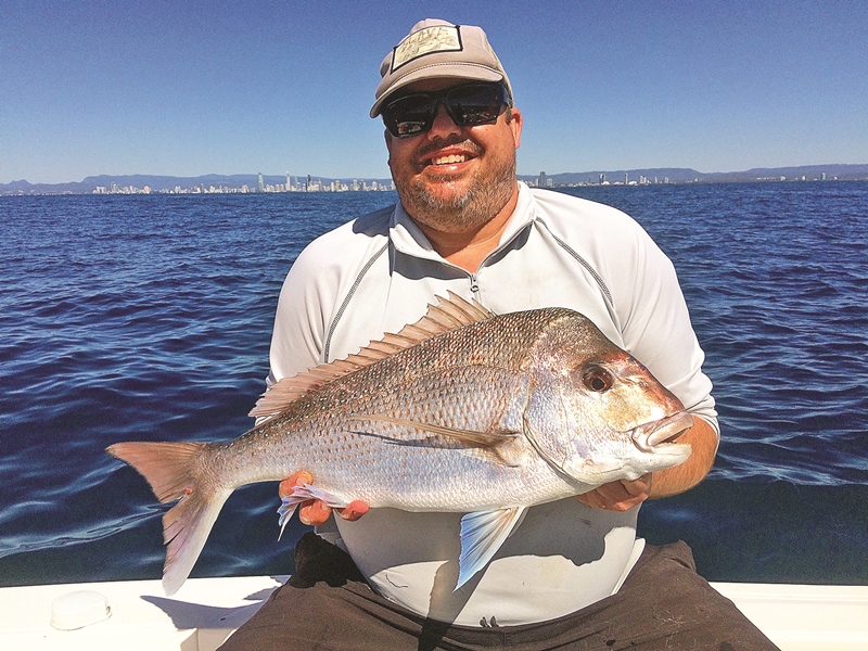 gold coast snapper and whiting