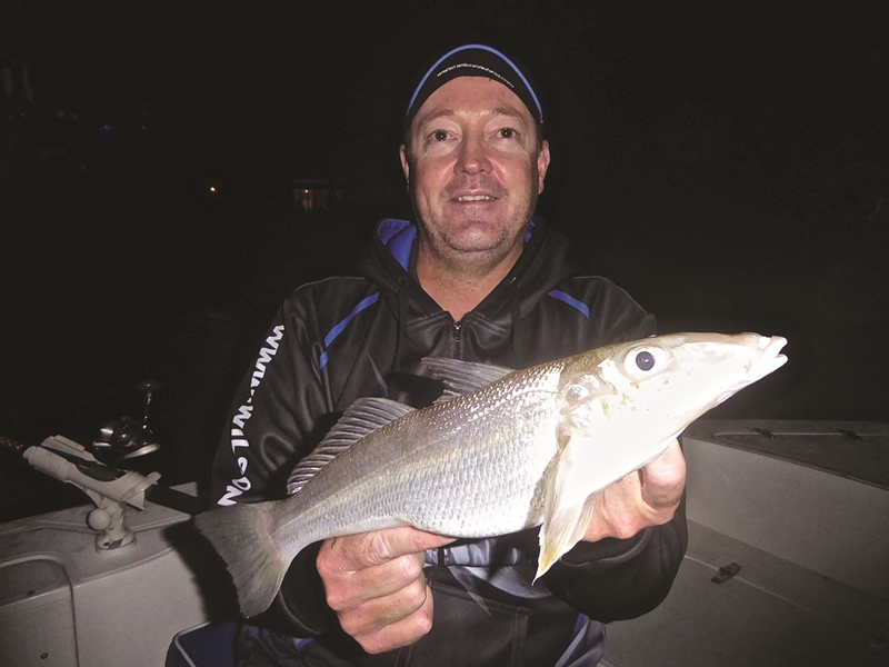 gold coast snapper and gold coast whiting