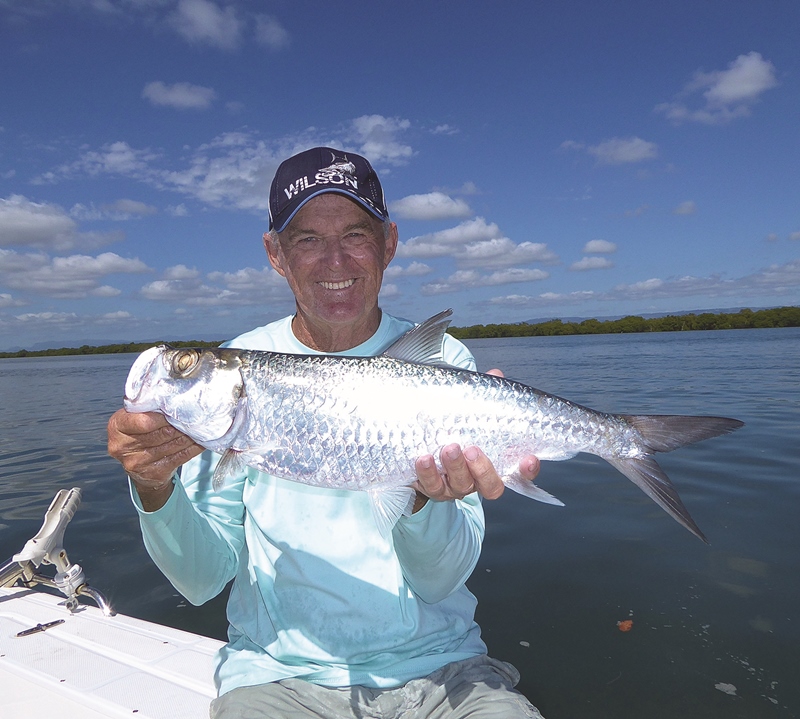 gold coast snapper and whiting