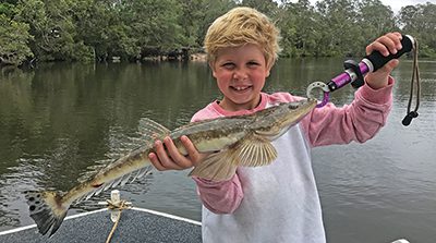 december fishing sunshine coast