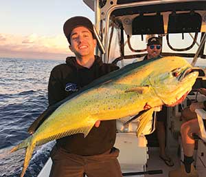 moreton island fishing mahi mahi