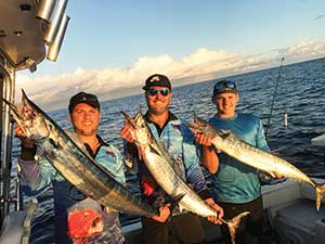 moreton island fishing wahoo