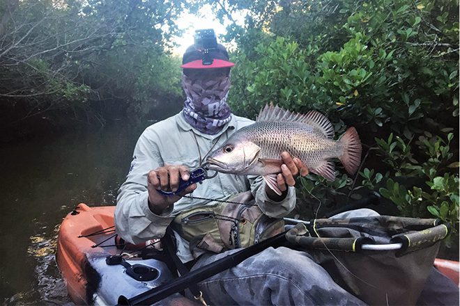 lure fishing for mangrove jack from kayaks