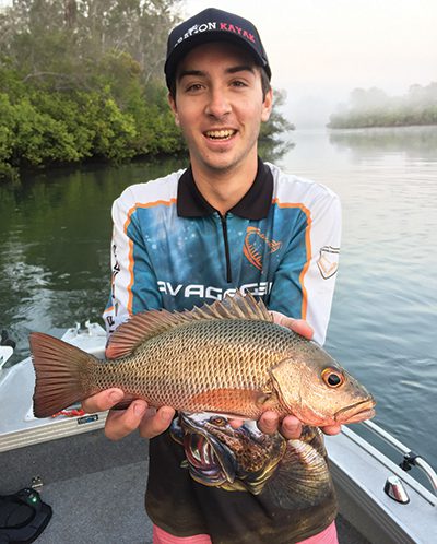 lure fishing mangrove jack