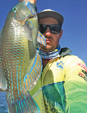 moreton bay tuskfish