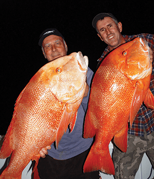 wicked fishing red emperor