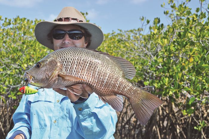 trolling for mangrove jack estuaries