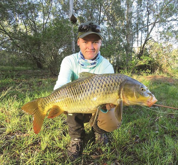 gold coast carp on fly