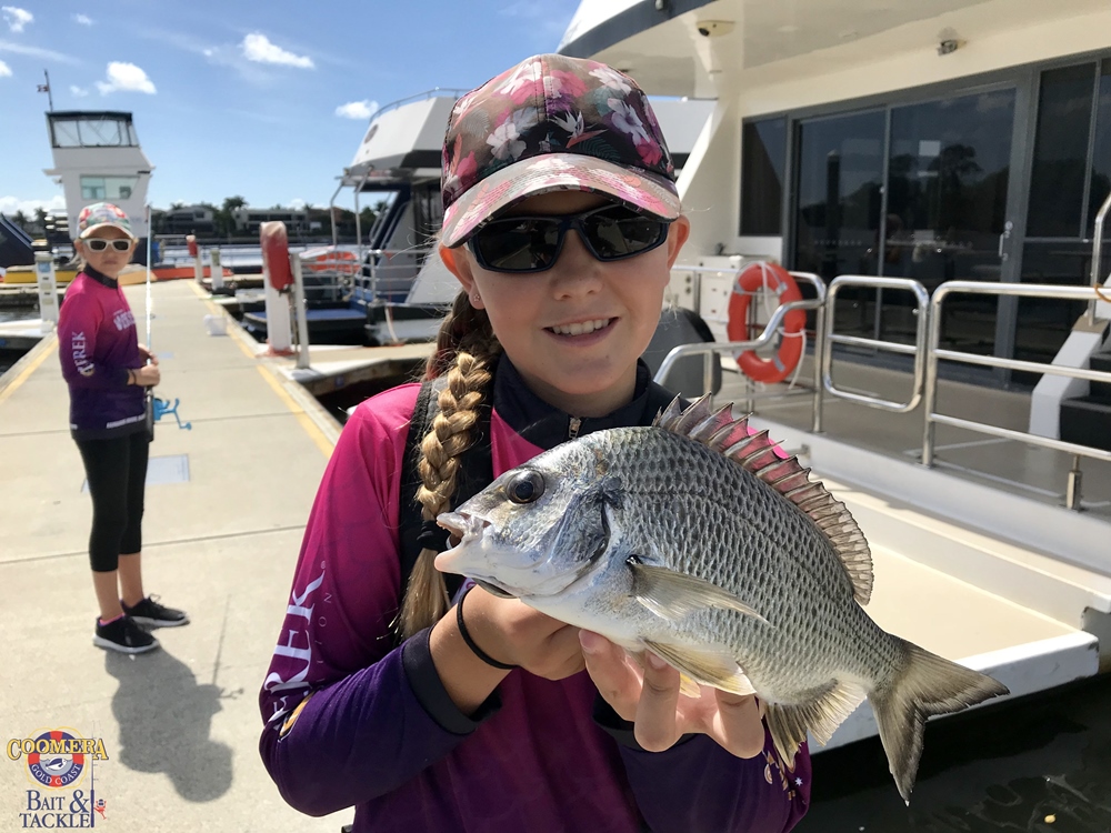 pelagic action gold coast