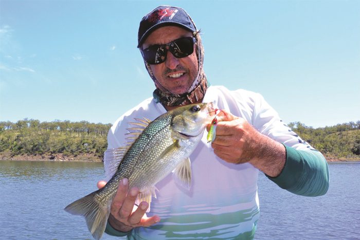 freshwater fishing south burnett bass