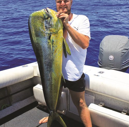 1770 fishing trip dolphinfish