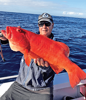 coral trout sunshine coast