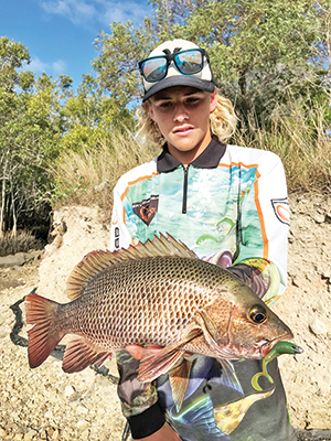 mangrove jack sunshine coast