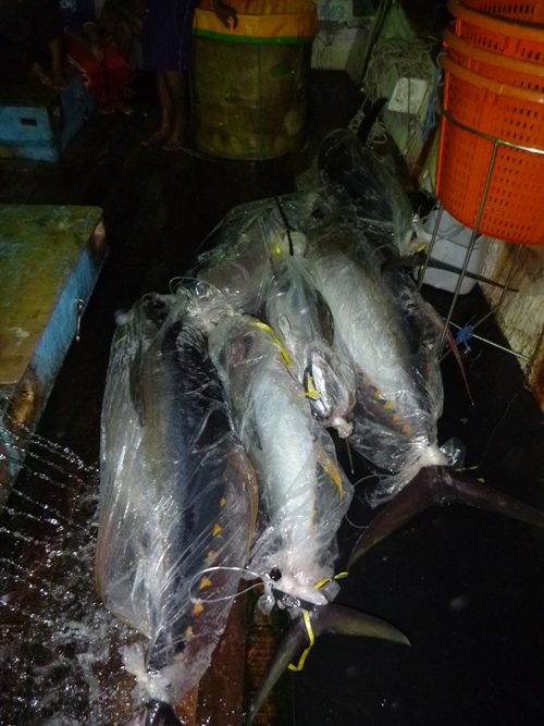 foreign fishing vessel apprehended 110kg tuna