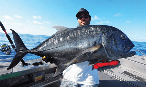 giant trevally zeikel fishing