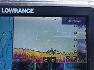 lowrance hds carbon prawning