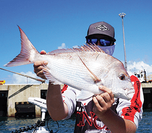 snapper brissie river