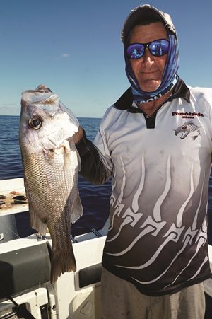 turkey beach pearl perch