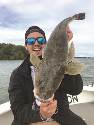 flathead biting well moreton bay