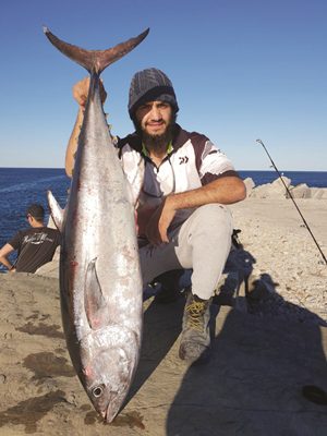 land-based longtail tuna iluka breakwall