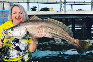 fishing brisbane jewfish