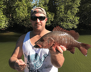 fishing brisbane creeks mangrove jack