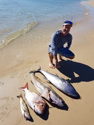 awesome fish gold coast