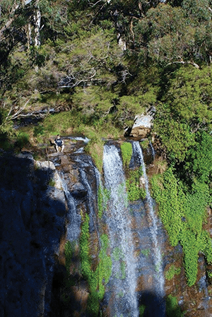 Queen Mary Falls