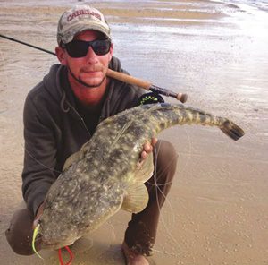 capricorn coast flathead