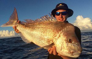 snapper season brisbane