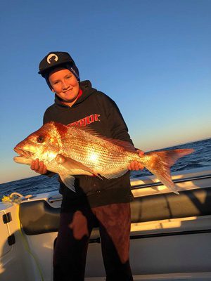 snapper season brisbane