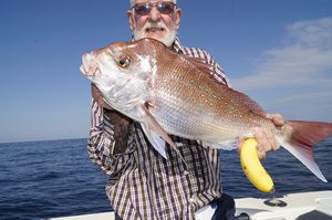 catching snapper offshore brisbane