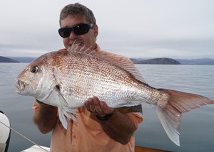 catching snapper offshore brisbane