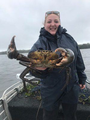 catching crabs christmas